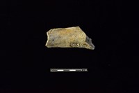 陶罐藏品圖，第2張